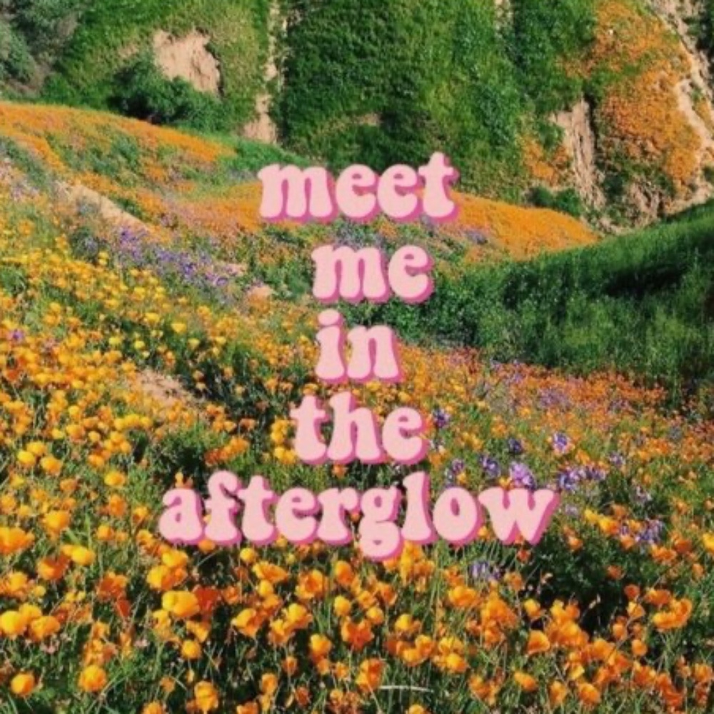 Meet your Posher, Annabelle